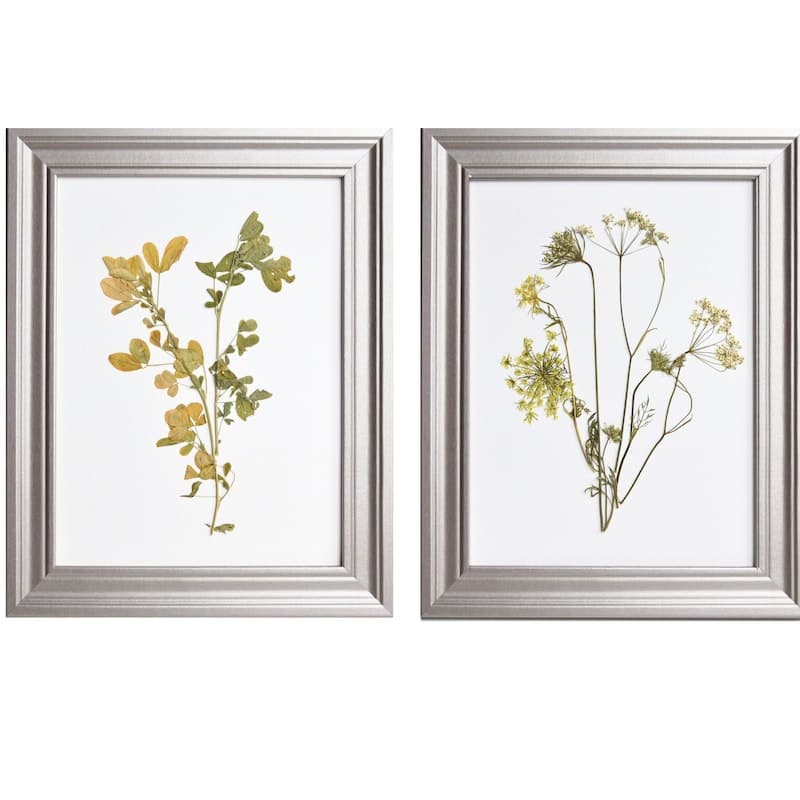 Framed Herbarium - Etsy