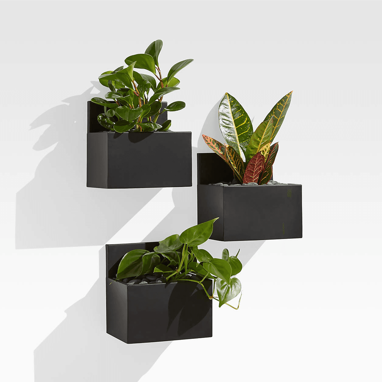 Pocket Black Wall Planters, Set of 3 | Crate & Barrel Wall Mounted ...