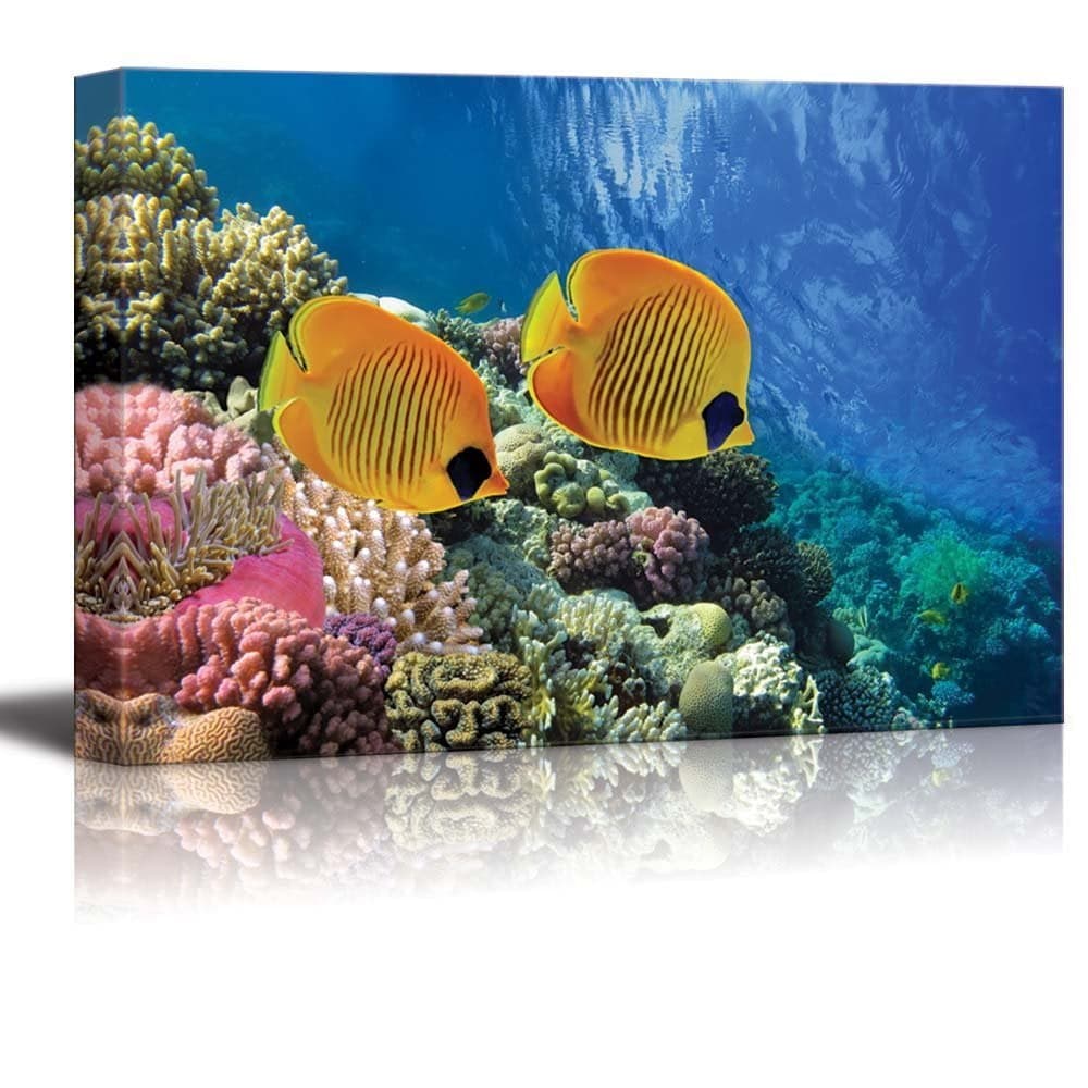 Wall26 Canvas Prints Wall Art - Coral Reef and Tropical Fish in ...