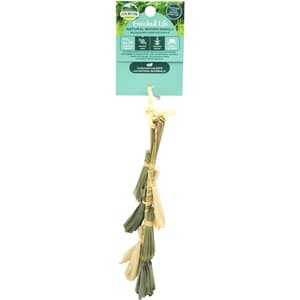 OXBOW Enriched Life Forage Pot Small Animal Chew Toy - Chewy.com