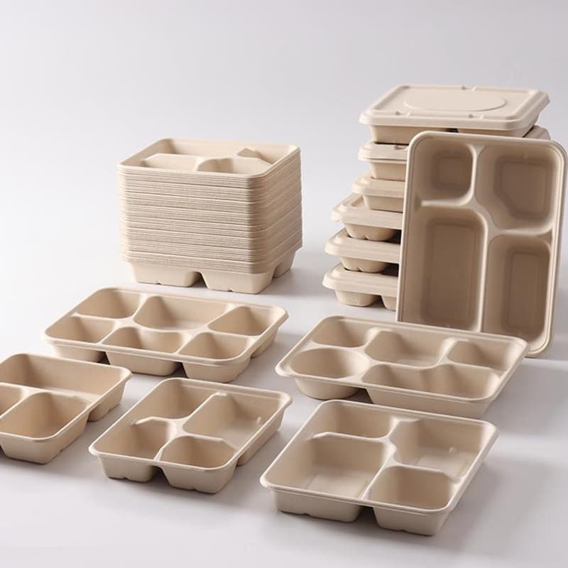 Eco Biodegradable Plant-Based Sugarcane Takeaway Compartment Food ...