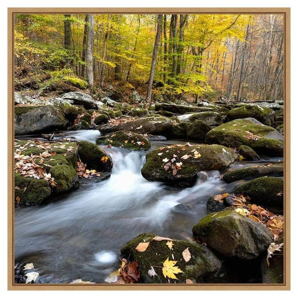 Amanti Art Autumn Rush by Danny Head 30 in. W x 30 in. H. Canvas ...