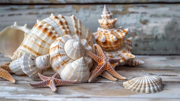 Seaside elegance sea shell objects for coastal design | Premium AI ...