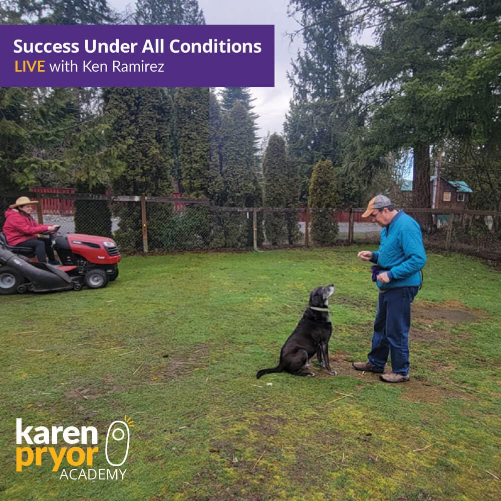 Live Classes - Karen Pryor Academy