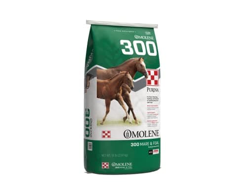 Purina Omolene 300 Mare & Foal Horse Feed