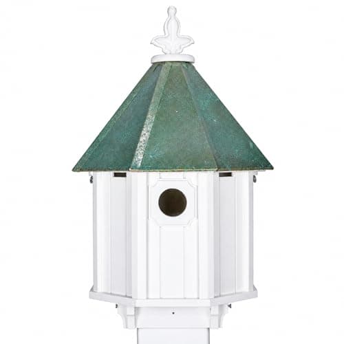 NC Birdguy Bluebird Songbird Duplex …