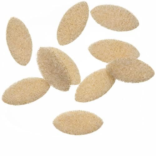 Enrico Puglisi EP® TURNEFFE MICRO SHRIMP - PEARL / TAN - #8 | Crabs and ...