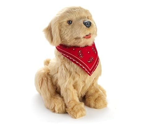 JOY FOR ALL - Ageless Innovation - Freckled Pup