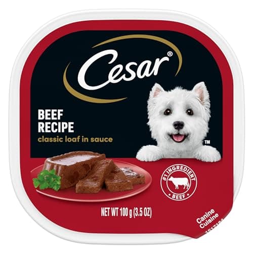CESAR Classic Loaf in Sauce Beef Recipe Grain-Free Small Breed Adult ...