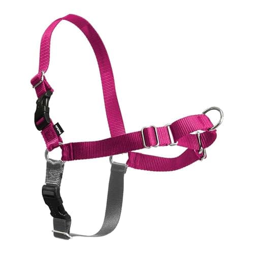 Petsafe Easy Walk Dog Harness, No Pull Dog Harness, Raspberry/Gray, Medium