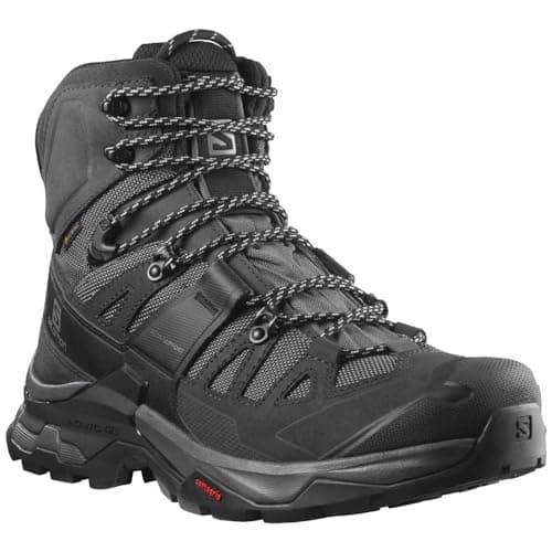 Salomon Men's QUEST 4 GTX, Olive Night/Peat/Safari, 9.5