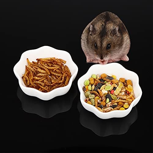 2 Pcs Ceramic Hamster Bowl, Small Animal Anti-Turnover Food Bowl and Water Dish Feeder for Dwarf Hamster Mouse Chinchilla Rat Gerbil (White )