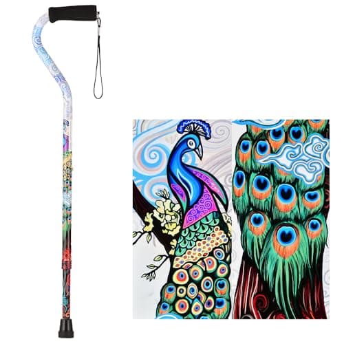 NOVA Designer Walking Cane with Offset Handle