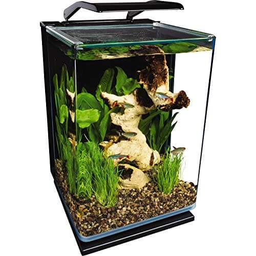 Aquarium Marineland portrait 5 gallons
