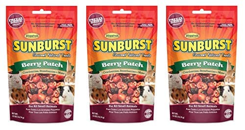 Higgins Sunburst Freeze Dried Fruit for Small Birds