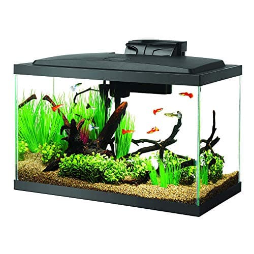 Kit aquarium Aqueon LED 10 gallons