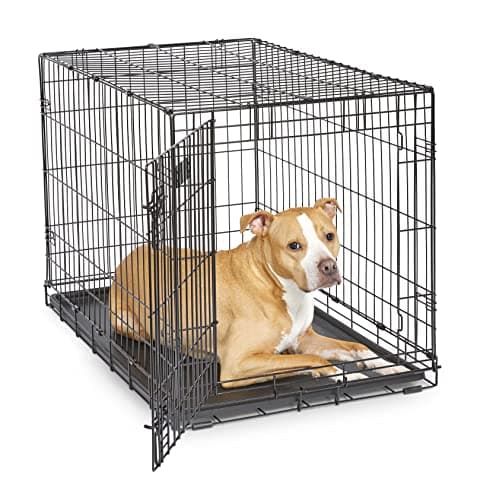 MidWest Homes for Pets iCrate Double Door Folding Dog Crate