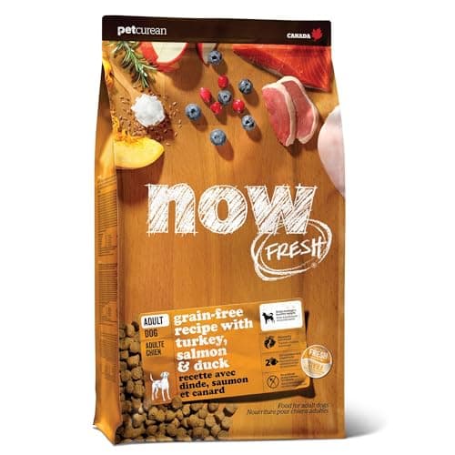 Petcurean Now Fresh Grain-Free Adult Recipe Dry Cat Food, 8 lb ...