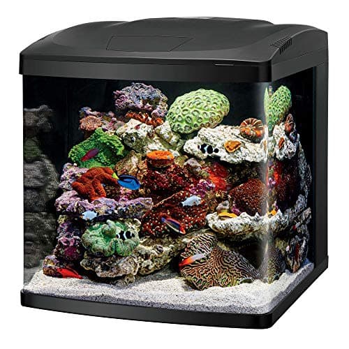 Aquarium Coralife LED BioCube 32 gallons