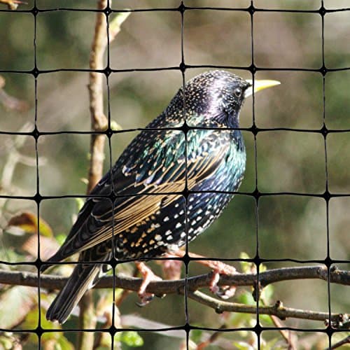 Bird-X 25 ft. x 50 ft. Heavy-Duty Bird Netting NET-PE-25-50 - The Home ...