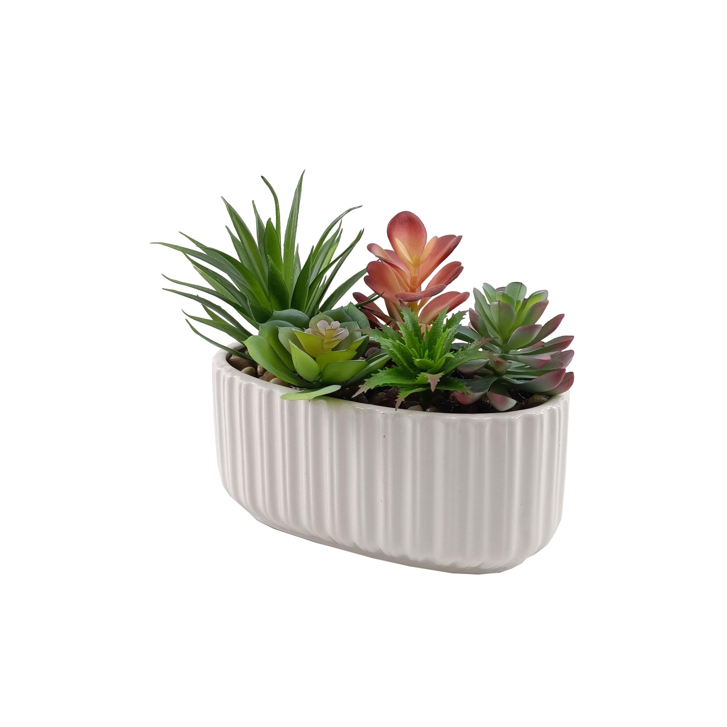 CANVAS 7.5-in Artificial Indoor Succulent Long Planter | Canadian Tire