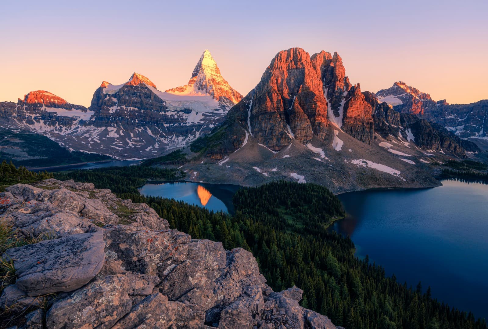 Mount Assiniboine - Mountain Field Guide