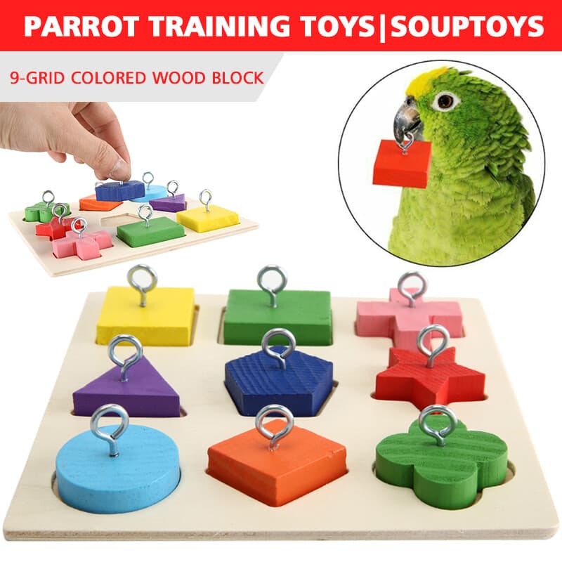 Mapiuo 1set Pet Educational Toys Birds Parrot Training Wooden Block Toy ...