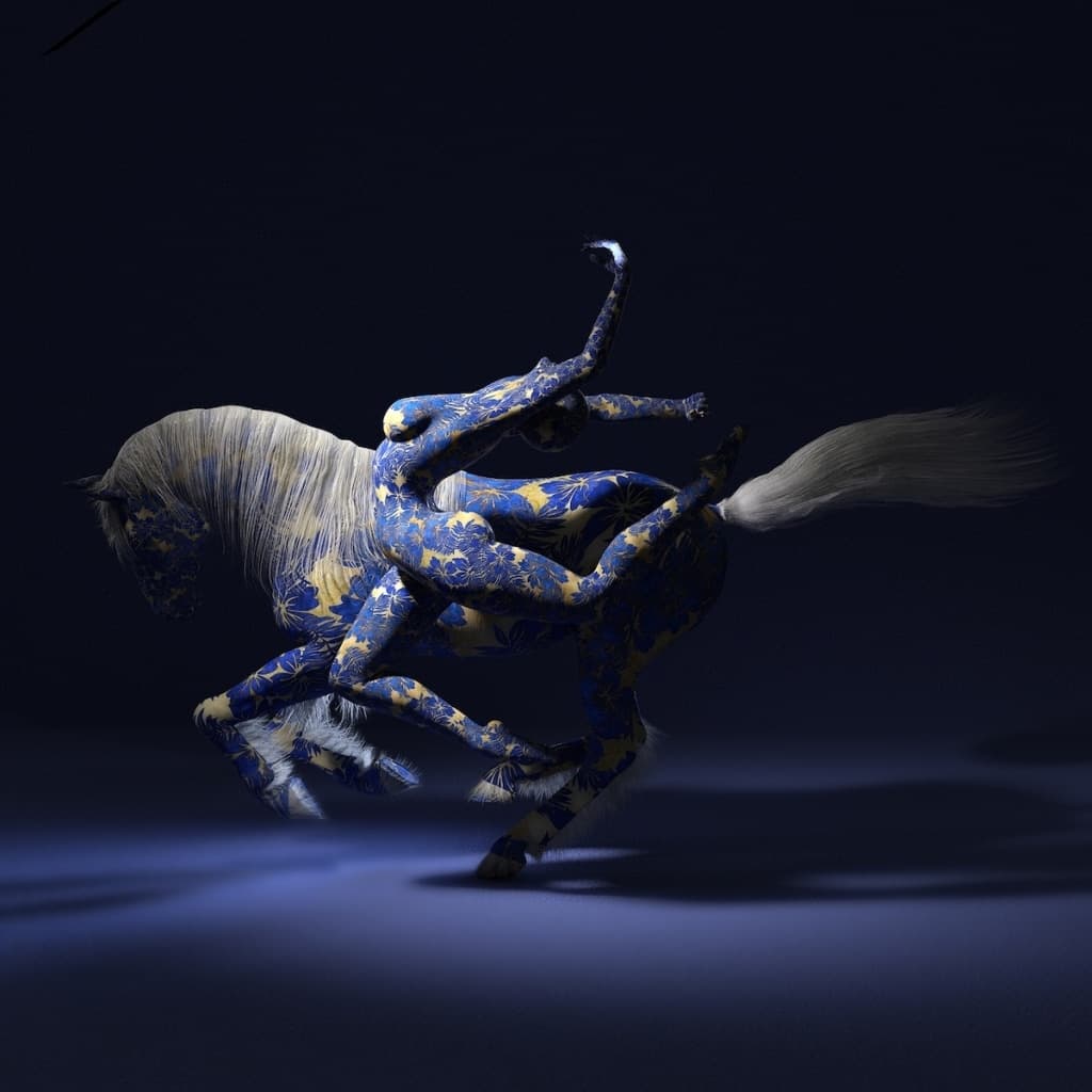 Winners of International Photo Contest Celebrate the Art of Movement