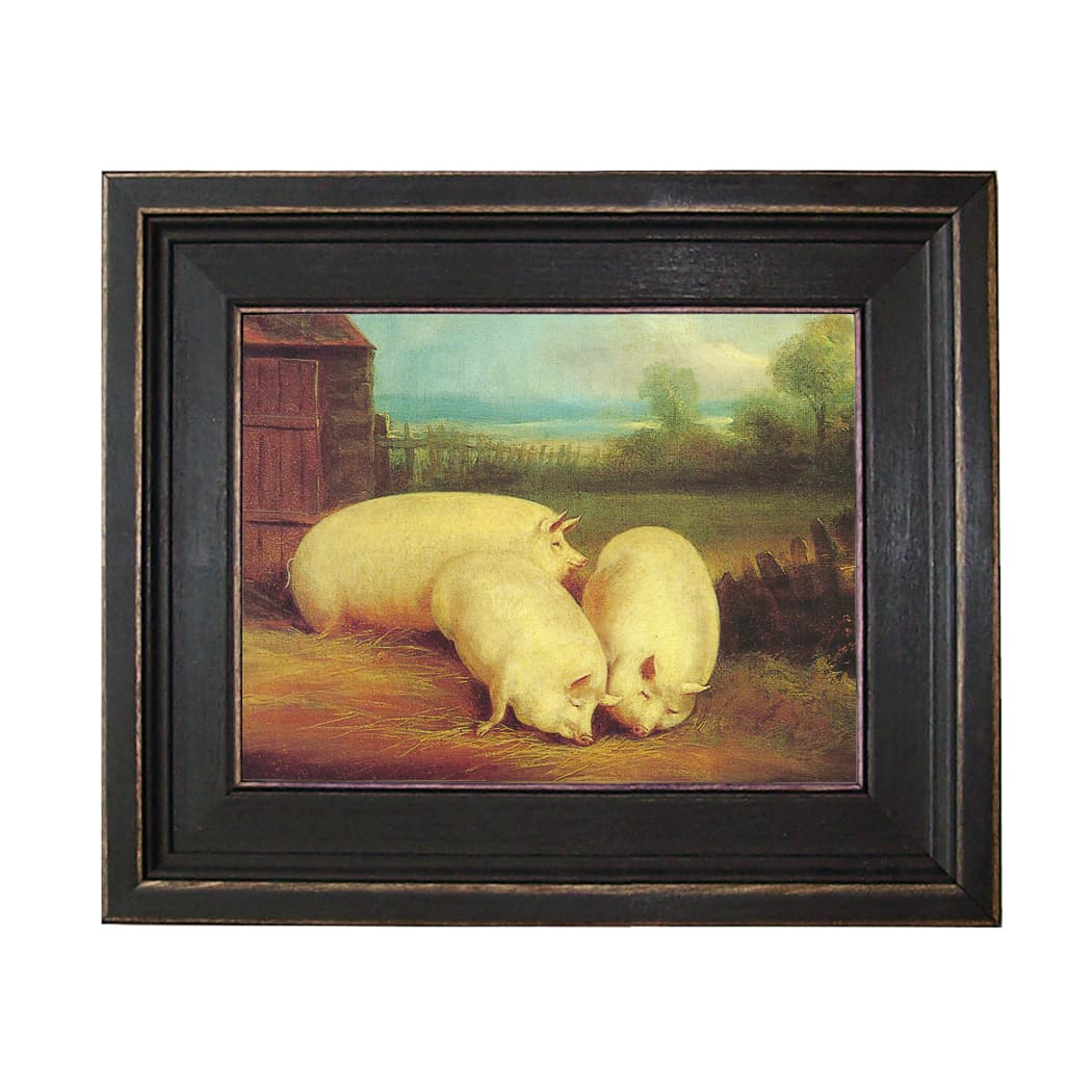 Three Prize Pigs - Schooner Bay Company