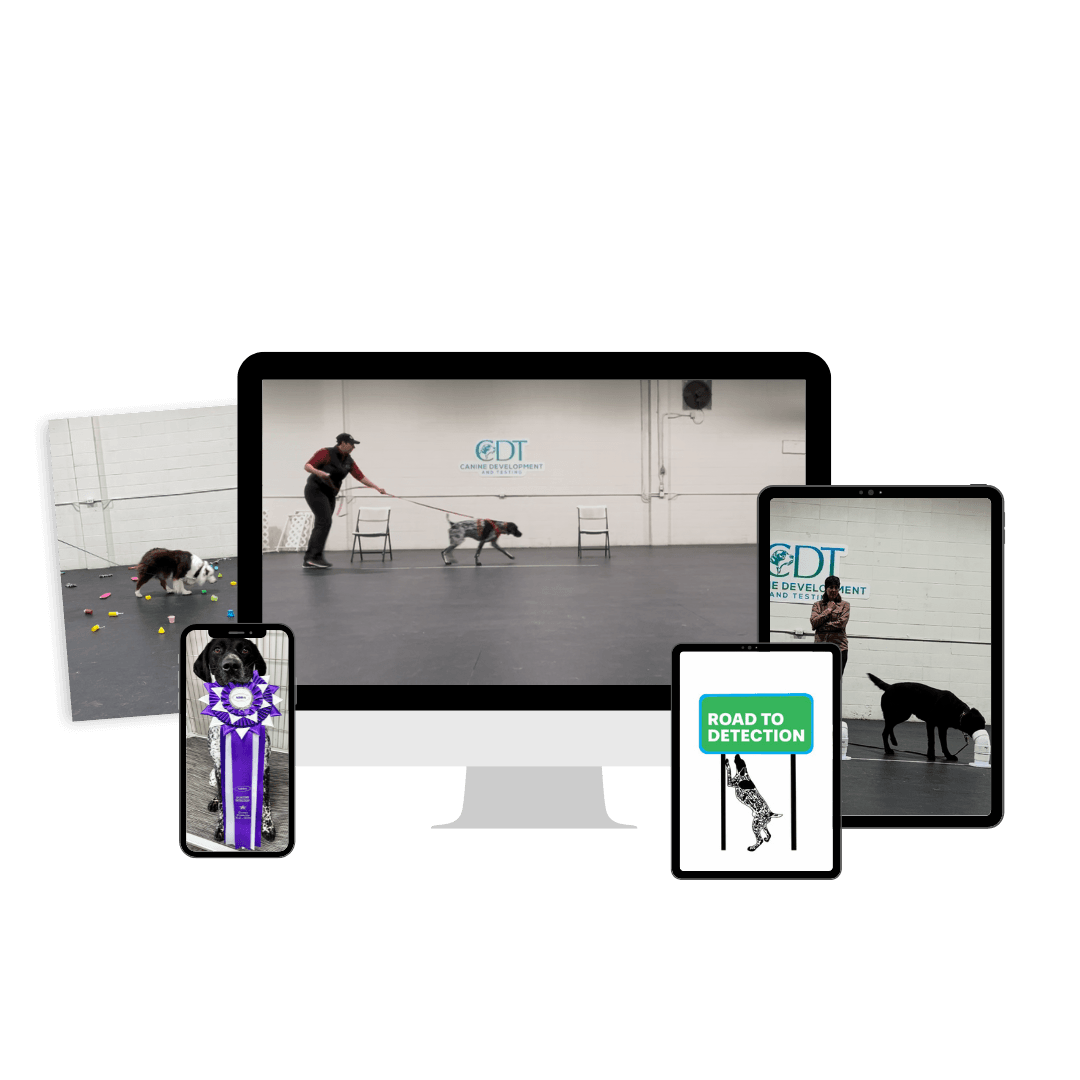 Scent detection training | Online scent detection | Virtual nosewor…
