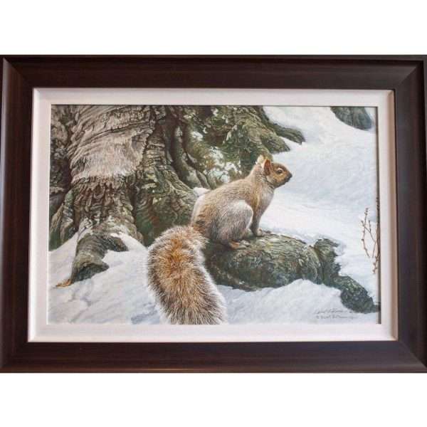 Grey Squirrel framed canvas art by artist Robert Bateman