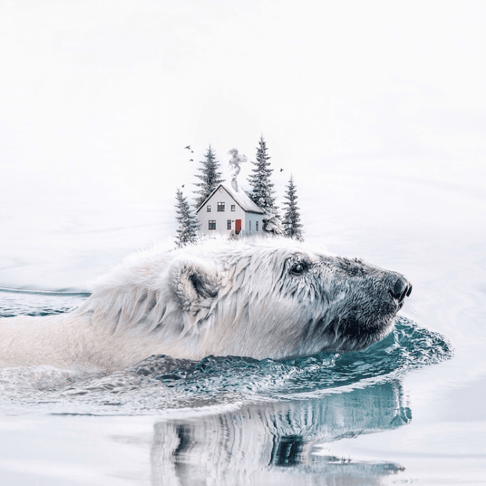 Digital Artist Luisa Azevedo Creatively Blends Unexpected Elements To ...