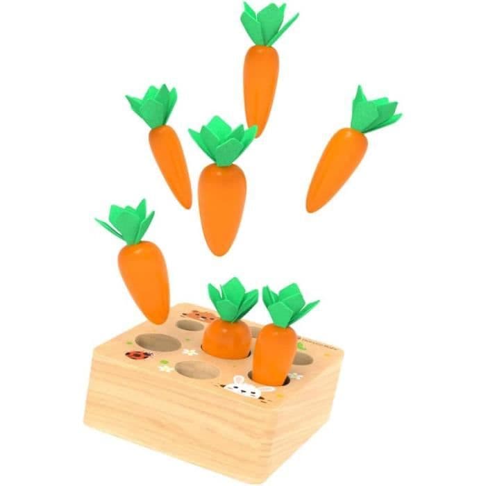 Jouets éducatifs en Bois pour ToutPetits Jouets Carottes récolte Jeu de ...
