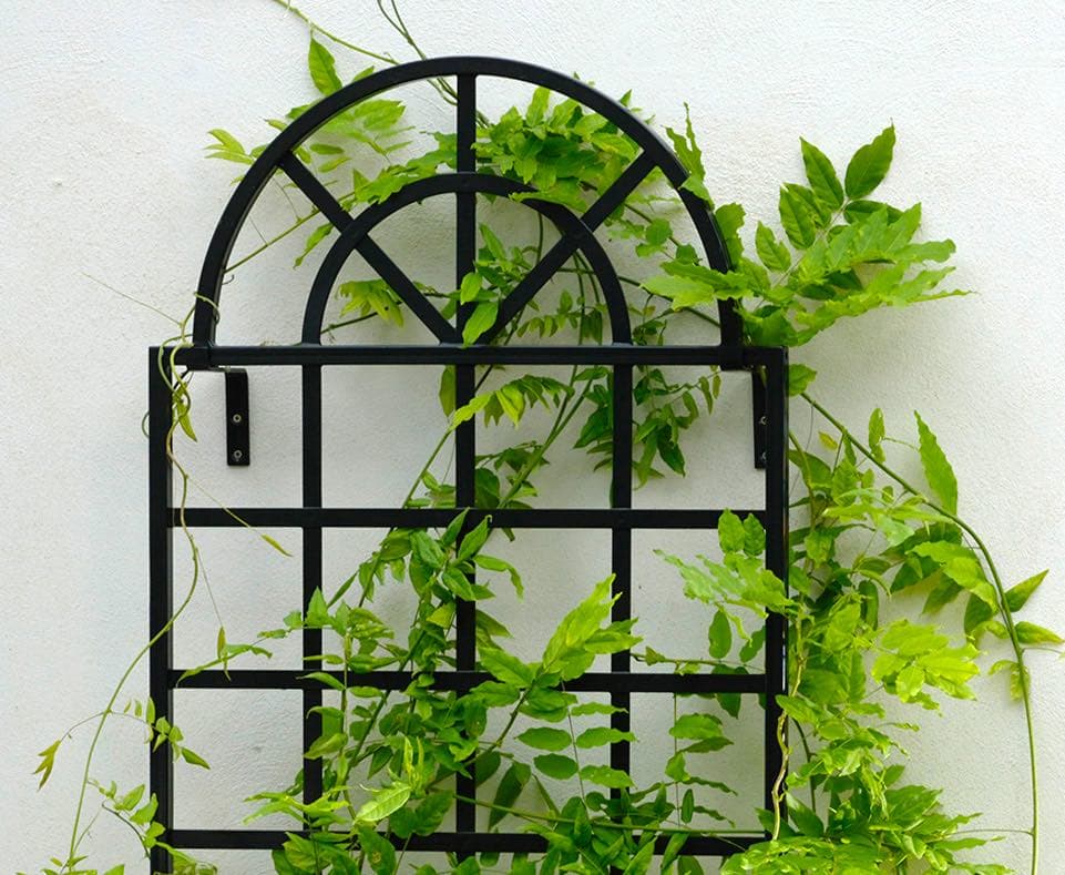 The Orangery Trellis: Elegant wall-mounted trellis made of galvanised steel