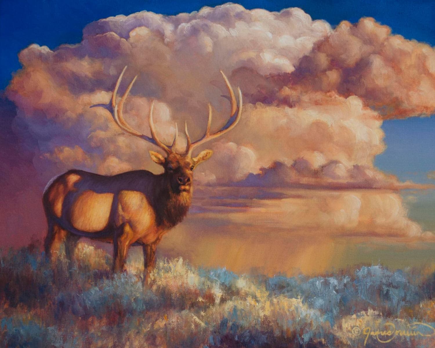 North American Wildlife Paintings (more subjects available) - Gold ...