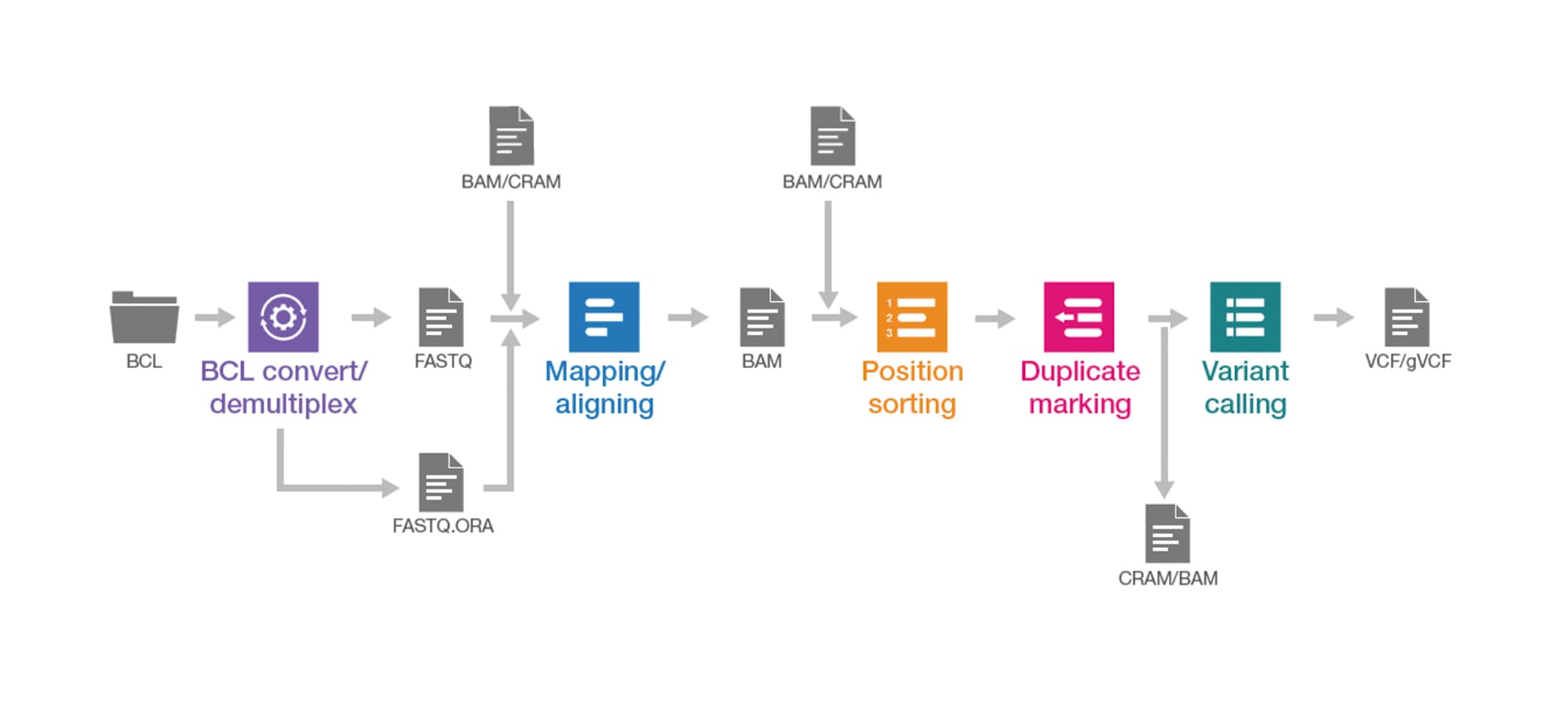 Illumina DRAGEN Bio-IT Platform | Variant calling & genomics software