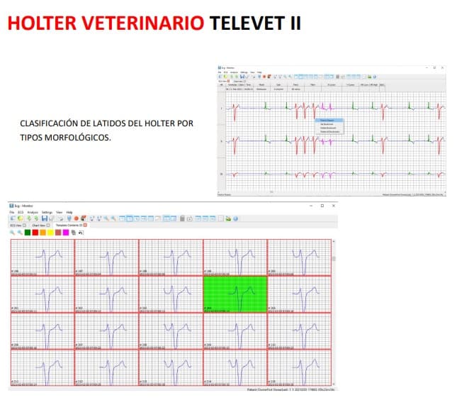 Televet II – ECG y Holter Telemétrico Básico – Kanalvet