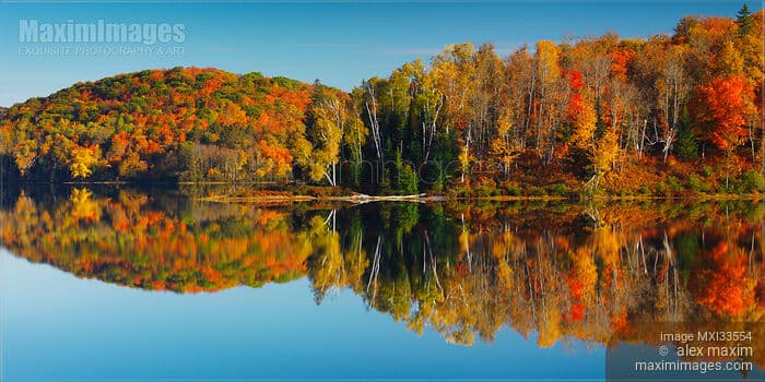 Photo of Panoramic autumn nature scenery of colorful forest reflecting ...