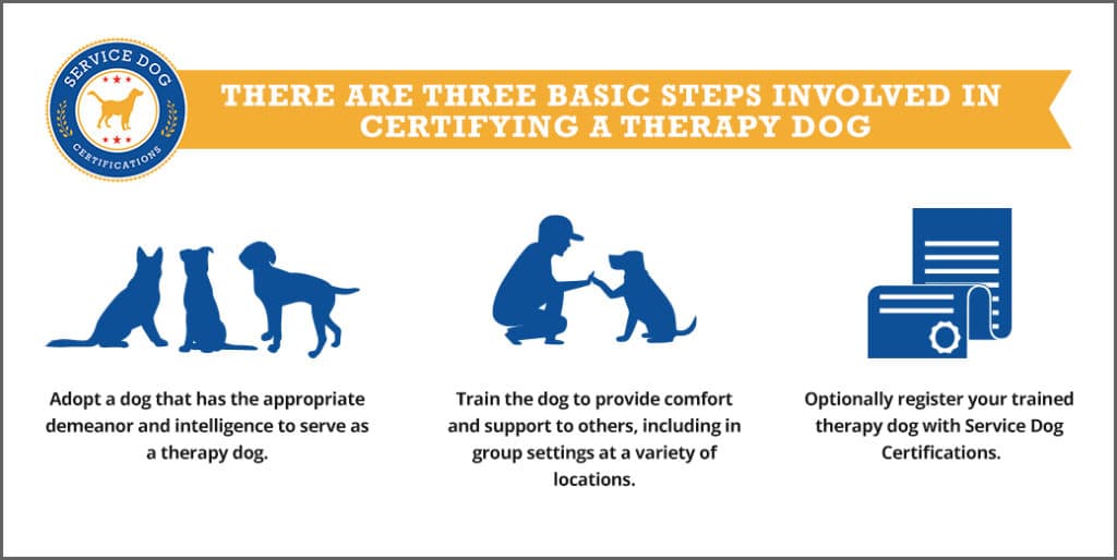 Can a Service Dog also be a Therapy Dog - Service Dog Certifications